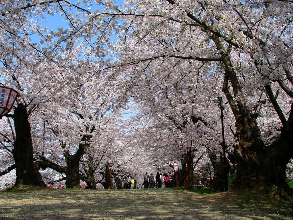 Agri In Holiday Hirosaki Exterior foto